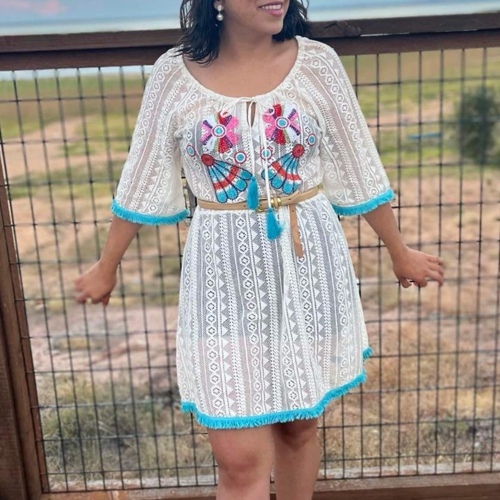 Wayan Embroidered Crochet Mini Dress